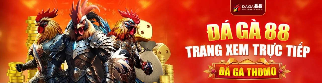 Đội ngũ hỗ trợ khách hàng Solarbet đang làm việc