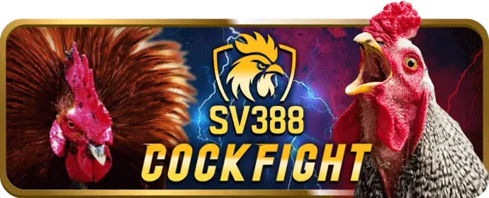 Giao diện Solarbet thân thiện, hiện đại trên nhiều thiết bị